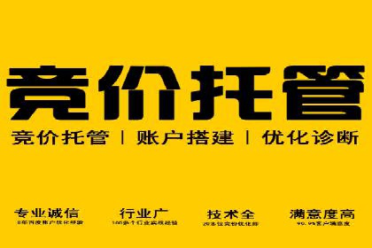 案例研究：SEM推广如何提升品牌知名度
